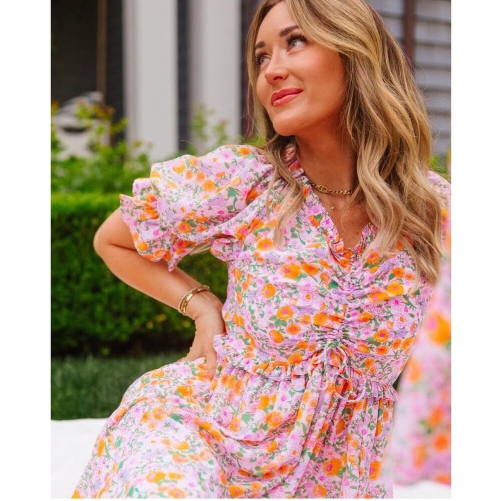NWT Ivy city co Katie dress 4x